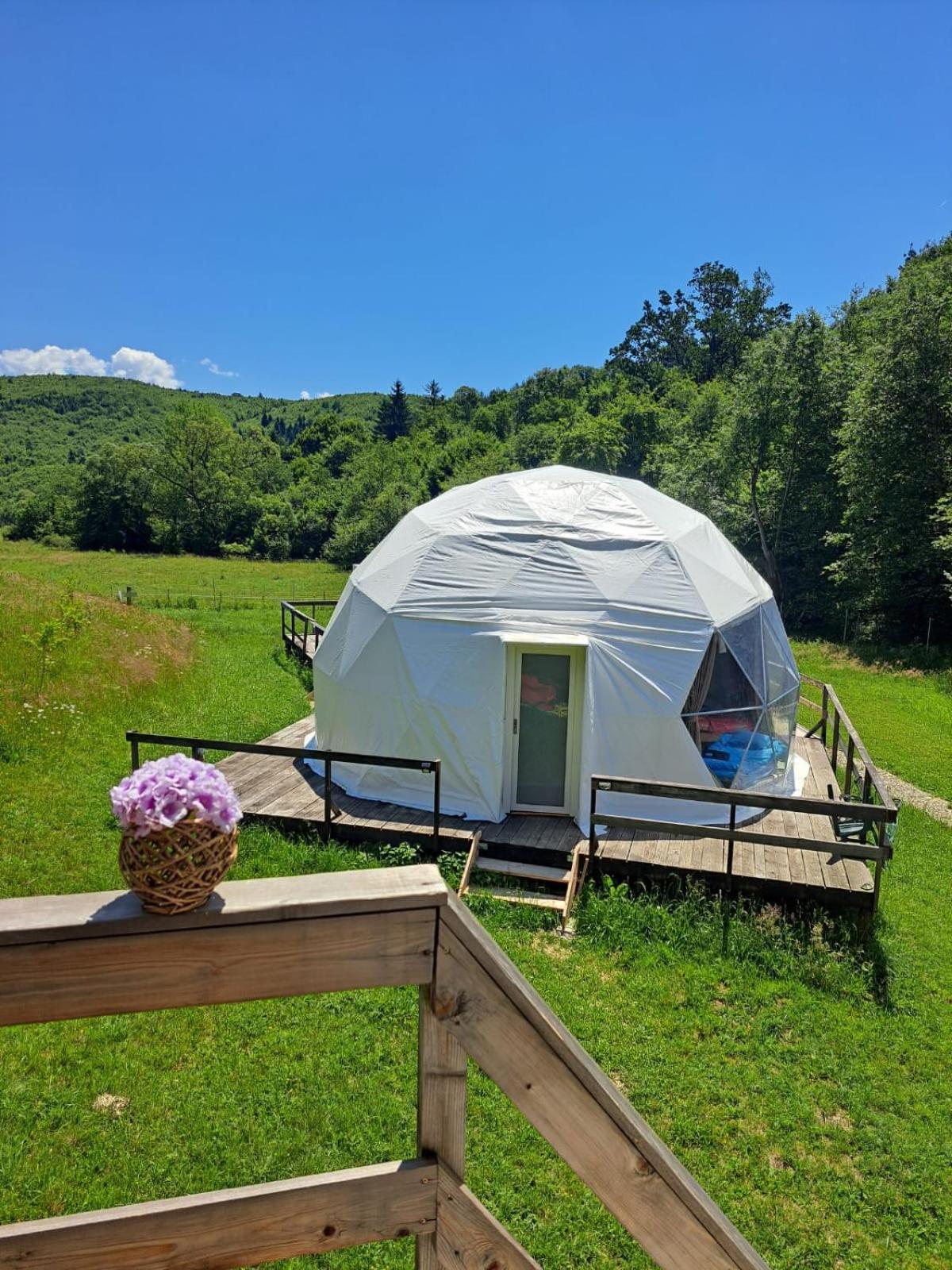 Forest Glamping Brasov Exterior photo